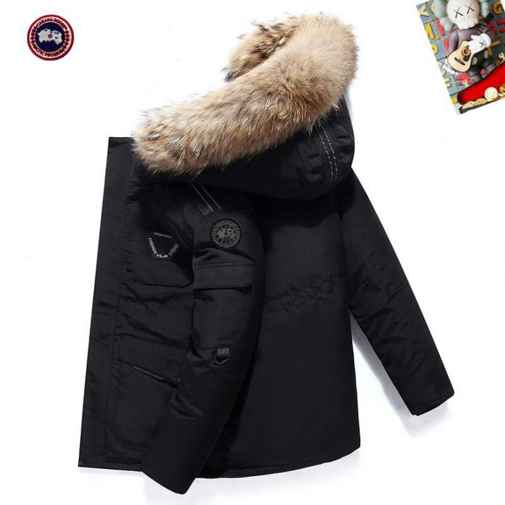 Picture of Canada Goose Down Jackets _SKUCanadaGooseM-3XL25tx0637923
